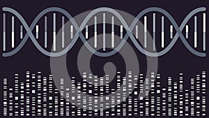 DNA double helix with sequencing bands vector illustration background photo