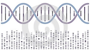 DNA double helix with sequencing bands vector illustration background photo