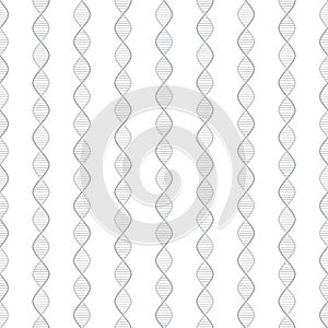 DNA double helix simple stylized seamless pattern on white, vector