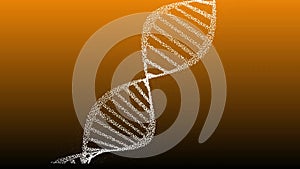 DNA double helix strand