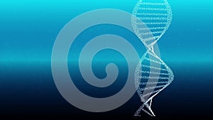 DNA double helix strand