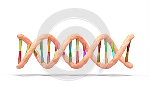Dna double helix on white background - 3d render