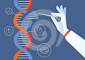 Dna engineering. Genome crispr cas9, gene mutation code modification. Human biochemistry and chromosomes research vector