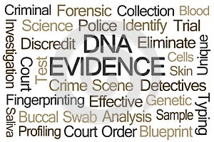 DNA Evidence Word Cloud