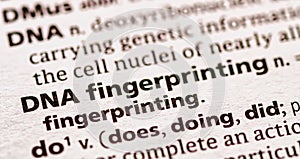 DNA fingerprinting photo