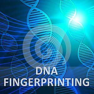 Dna Fingerprinting Meaning Genetic Profiling 3d Illustration