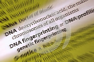 DNA - DNA Fingerprinting photo