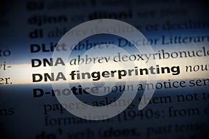 Dna fingerprinting photo