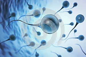 DNA fragmentation test for sperm assesses sperm quality