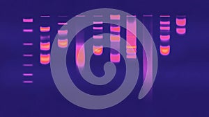 DNA gel Electrophoresis