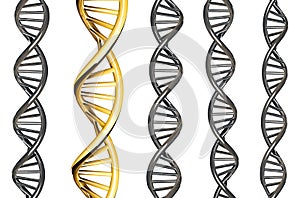 DNA gold outstanding from silver DNA, isolated on white background, 3d rendered