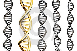 DNA gold outstanding from silver DNA, isolated on white background, 3d rendered photo