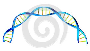 DNA helices cell