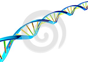 DNA helices cell