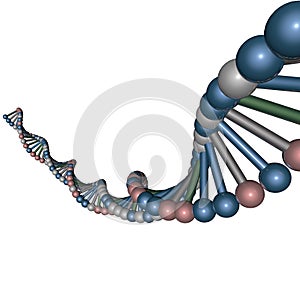 DNA helix