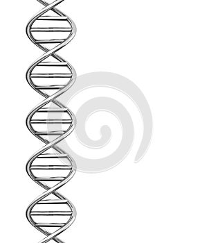The dna helix