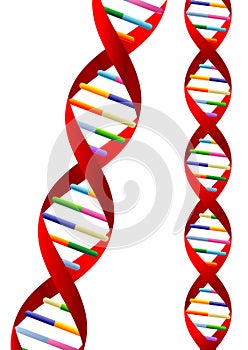 DNA helix