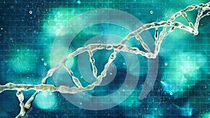 DNA helix, Deoxyribonucleic acid is a thread-like chain of nucleotides carrying the genetic instructions