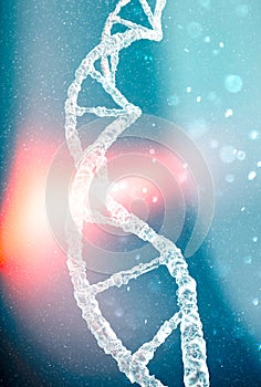 DNA helix, Deoxyribonucleic acid is a thread-like chain of nucleotides carrying the genetic instructions