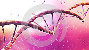 DNA helix, Deoxyribonucleic acid is a thread-like chain of nucleotides carrying the genetic instructions used in the growth