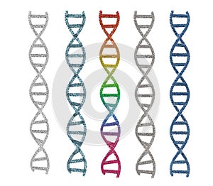 Dna helix or dna structure