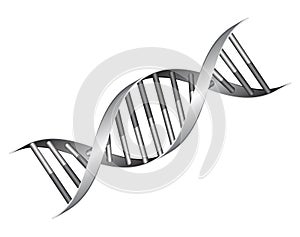 DNA helix. Double-Helix Structure of DNA. Isolated image