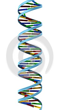 DNA helix isolated