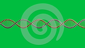 Dna helix isolated on green screen
