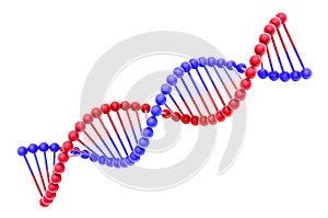 DNA Helix model isolated on white