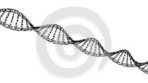 DNA, helix model medicine and network connection lines isolated on white background. Abstract futuristic technology structure in