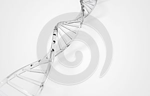 DNA helix, molecule or atom