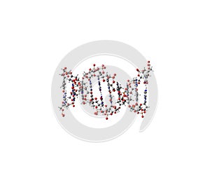 DNA helix molecule isolated on white