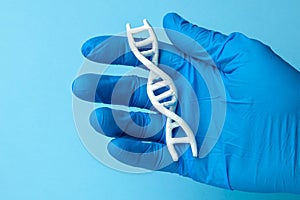 DNA helix research. Concept of genetic experiments on human biological code DNA. Scientist holds DNA helix.