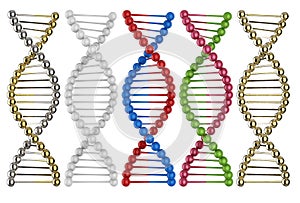 Dna helix structure