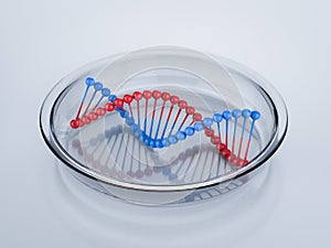 Dna helix structure