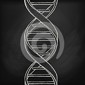 Dna helix symbol on chalk board background. Handdraw vector illustration. photo