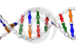 DNA helix (white background)