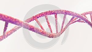 DNA helix on white background- 3D Rendering