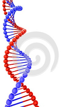 DNA Helix on white background