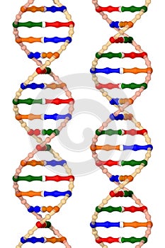 DNA helixes (isolated on a white background)