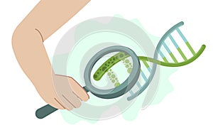 DNA heredity test. Personal genetic analysis report.