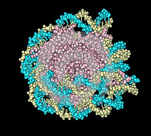 DNA with histone protein