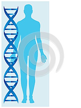 Dna and human body