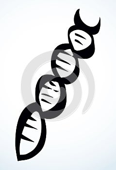 DNA icon sign. Vector drawing
