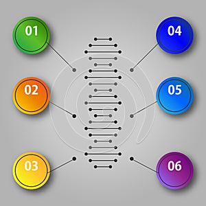 DNA information - infographic illustration