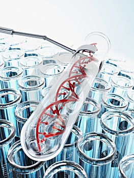 DNA inside test tube