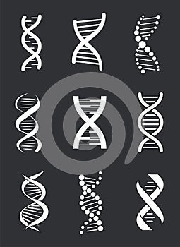 DNA Macromolecule Human Individual Genetic Code