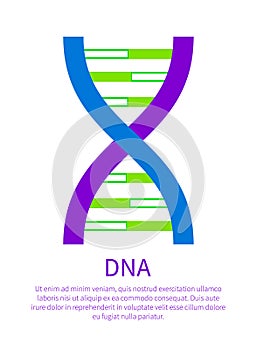 DNA Macromolecule Human Individual Genetic Code