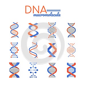 DNA macromolecule - line design style vector elements