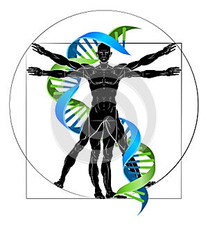 DNA Vitruvian Man photo